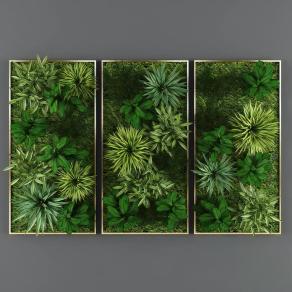 植物墙-1